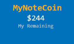 Remaining cash